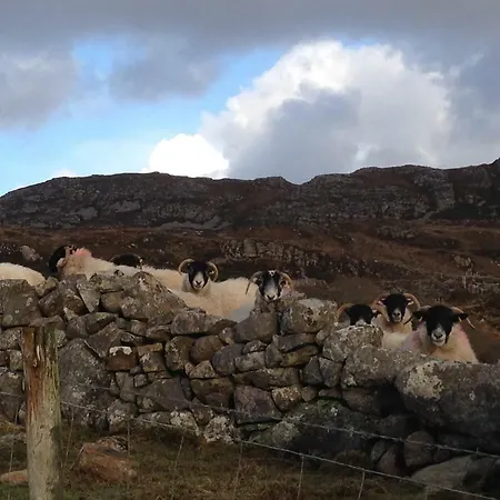 Annie's River Retreat * Doochary