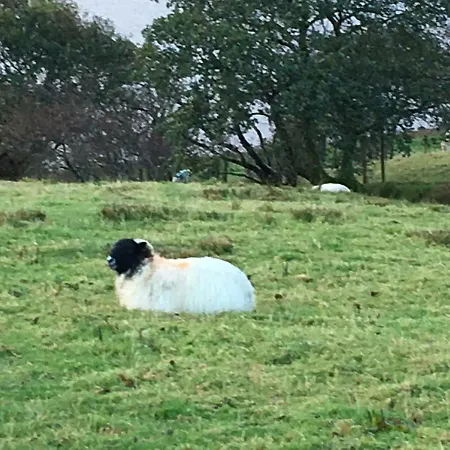 Feriehus Annie's River Retreat *