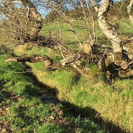 Annie's River Retreat Nyaraló *