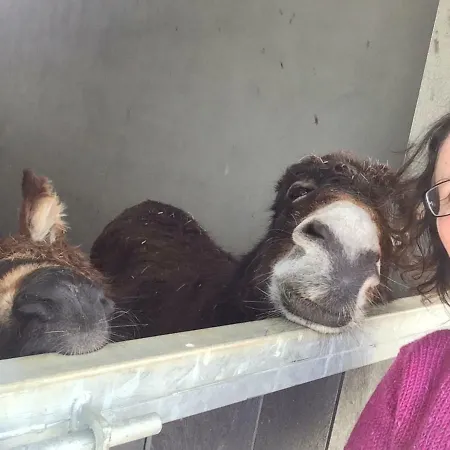 Annie's River Retreat Doochary