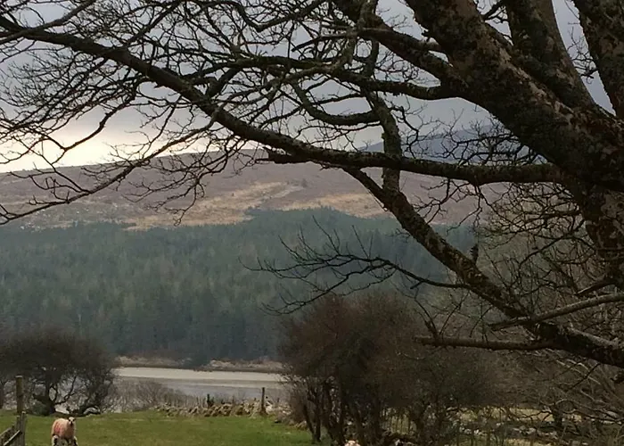 Annie's River Retreat Feriehus Doochary