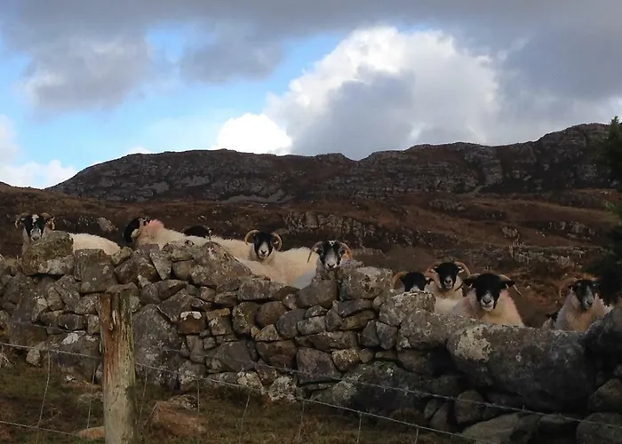 Annie's River Retreat * Doochary