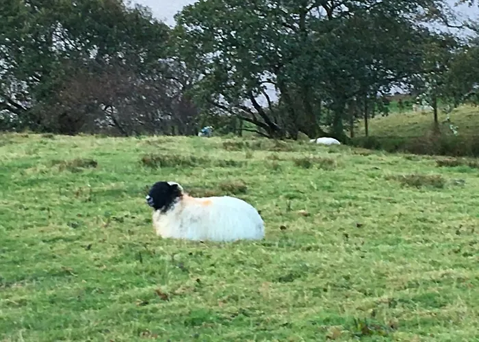 Vakantiehuis Annie's River Retreat *