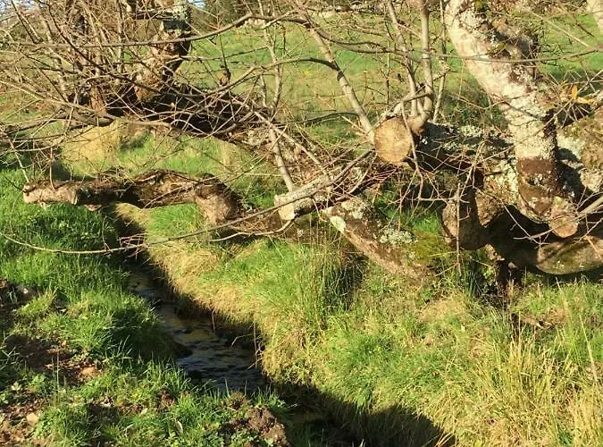 Annie's River Retreat Vakantiehuis *