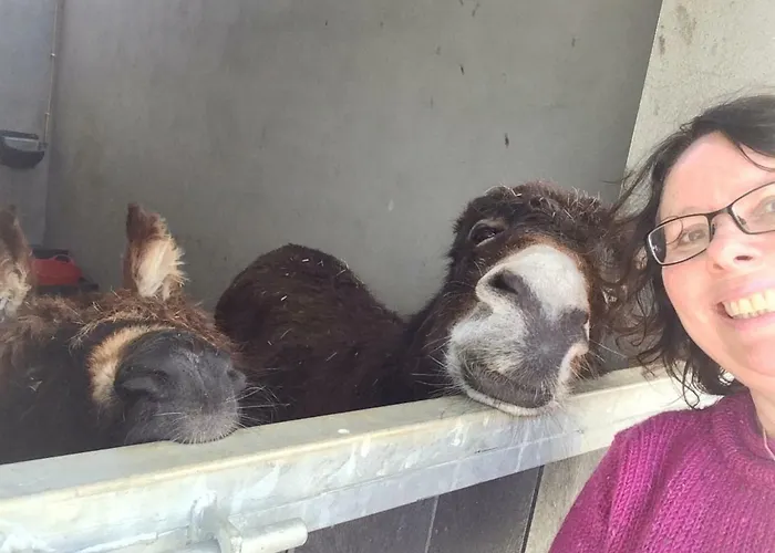 Annie's River Retreat Doochary