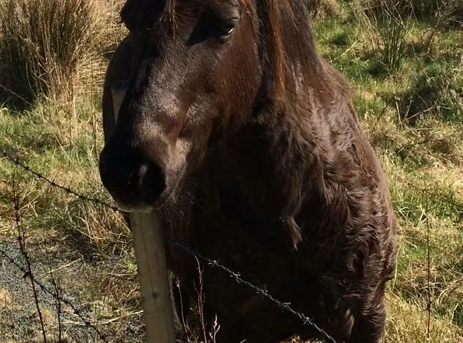 Annie's River Retreat